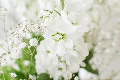 過(guò)敏物理防曬霜推薦品牌(皮膚容易過(guò)敏推薦哪款防曬霜)
