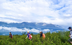 資陽品牌隔離防曬霜(防曬隔離牌子)