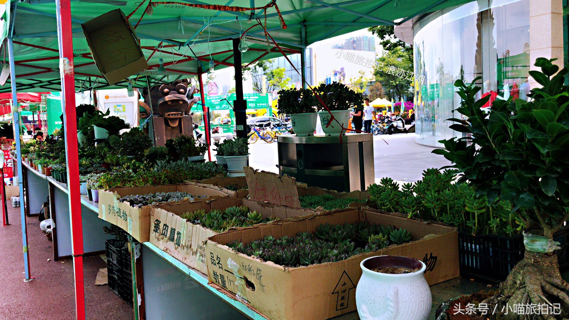 實拍：云南昆明小集市，看到非洲人賣防曬霜