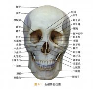 方形臉整形需要多少錢(方臉整容多少錢)