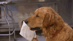 山東聊城防曬霜品牌(山東聊城防曬霜品牌有哪些)