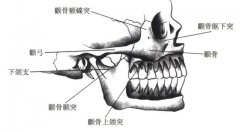 額骨整形多少錢(額骨矯正手術的價錢)