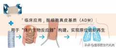 法令紋整形多少錢(法令紋整容多少錢)