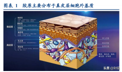 西京整形光子嫩膚價格多少(北京光子嫩膚價目表)