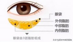 去眼袋整形面診多少錢(眼袋整形術價格)