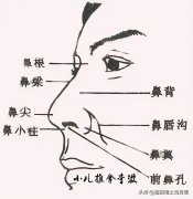 深圳做鼻部整形多少錢(深圳做鼻部整形多少錢)