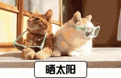 英國好一點(diǎn)的防曬霜品牌(英國好一點(diǎn)的防曬霜品牌推薦)