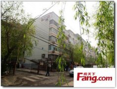 金炫澈整形多少錢(金炫美整形)