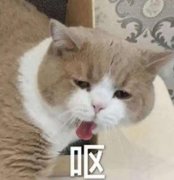 南京做個(gè)微整形多少錢啊(南京微整哪家美容醫(yī)院好)