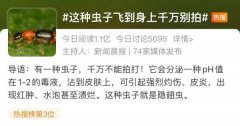 廈門整形醫(yī)生做毀容多少錢(廈門整形醫(yī)生做毀容多少錢啊)