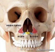 鼻側(cè)骨整形多少錢(鼻骨矯正一般多少錢一個(gè))