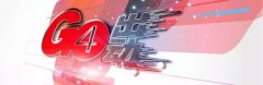 貓咪整形收費(fèi)標(biāo)準(zhǔn)是多少(貓咪流產(chǎn)要花多少錢)